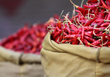 果蔬、木材烘干